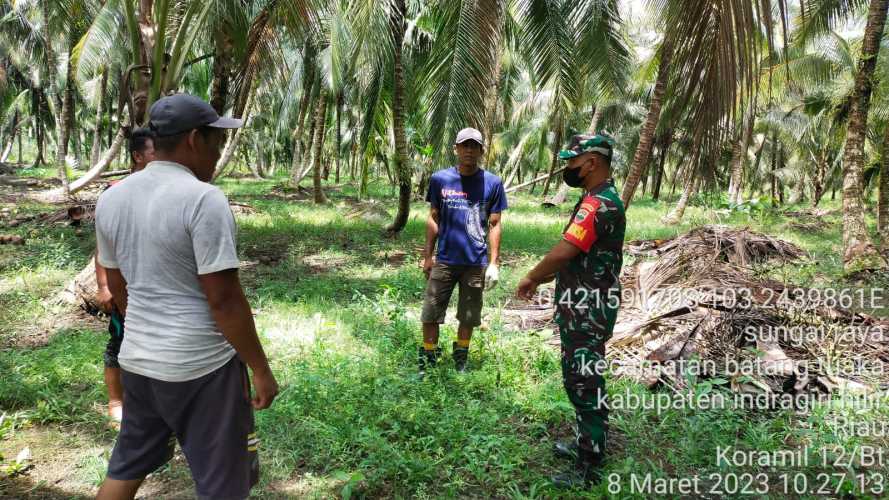 Babinsa Berjalan dengan Sosialisasi Karhutlah