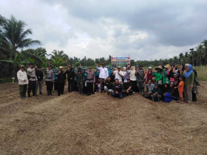 Sinergi TNI-Petani: Danpos Ramil Tembilahan Hulu Galang Aksi Tanam Jagung Massal