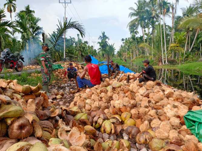 Babinsa Edukasi Petani dalam Membersihkan Lahan