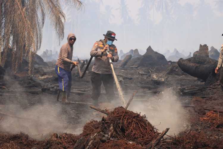Kapolres Inhil Pimpin Verifikasi dan Pemadaman Karhutla di Belantaraya, 7 Hektare Lahan Terbakar