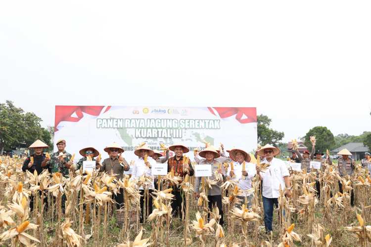 Polda Riau Gelar Panen Raya Serentak Kuartal III 2025, Wujud Nyata Sinergi untuk Ketahanan Pangan