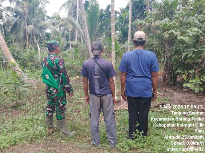 Babinsa Desa Tanjung Siantar Berperan Aktif Cegah Kebakaran Hutan dan Lahan