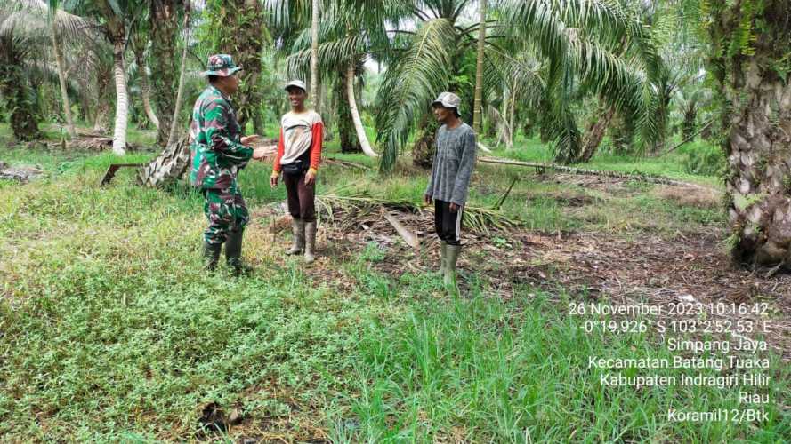 Babinsa  Bimbing Pengawasan Karhutlah Kepada Warga