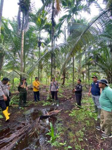 Kapolsek Pelangiran Ambil Langkah Preventif Hadapi Konflik Harimau Sumatera