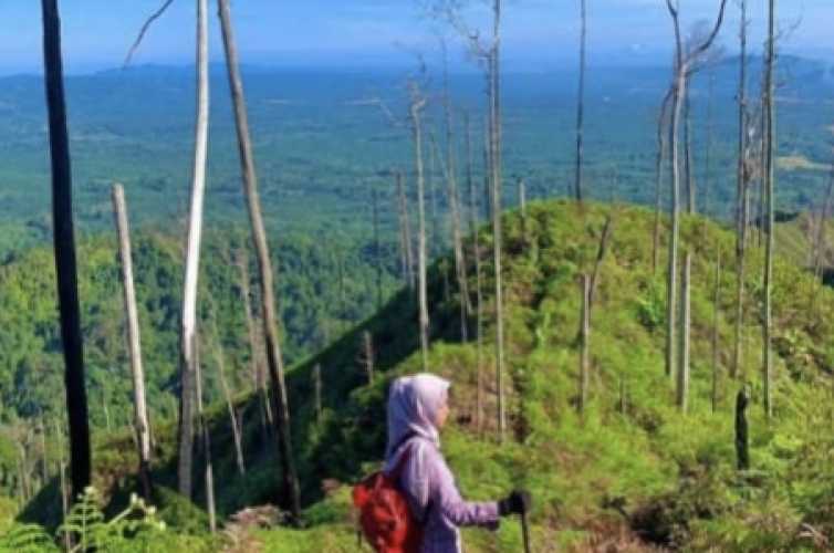 Destinasi Wisata Bukit Condong Cocok Untuk Adventure di Masa Liburan