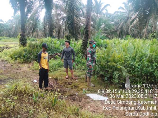 Serda Dodi Eka Lakukan  Patroli di Lahan Perkebunan