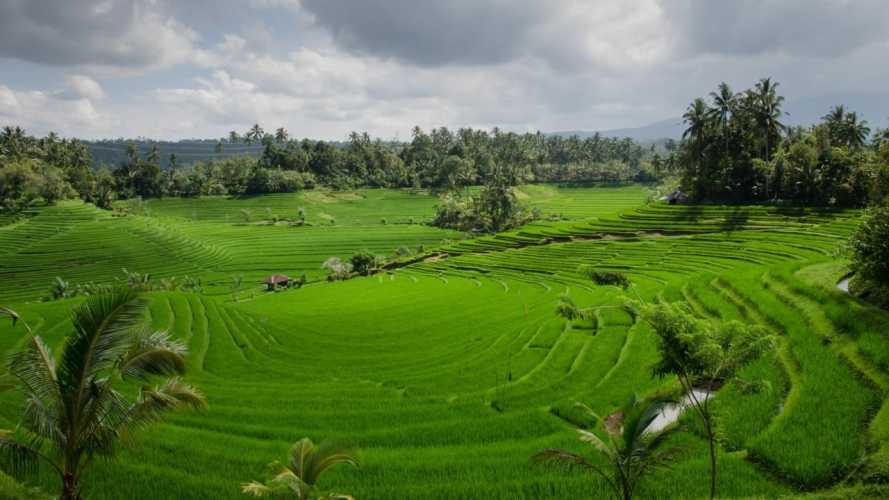 Lampaui Target, LP2B Capai 87,63% di Momen Peringatan 66 Tahun UUPA