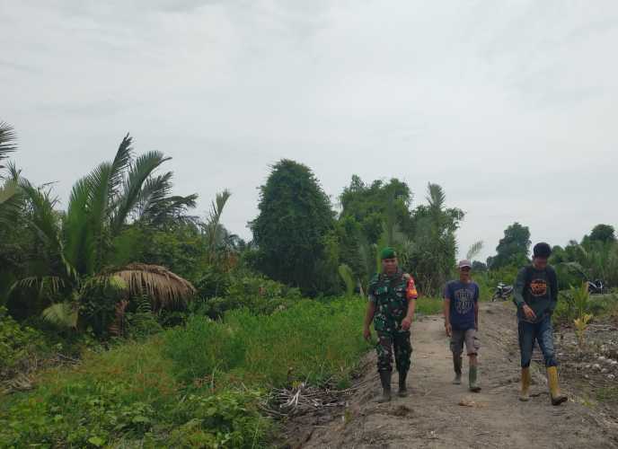 Babinsa Serka Syamsir Patroli Karhutla, Wujud Nyata Jaga Ekologi di Batang Tuaka