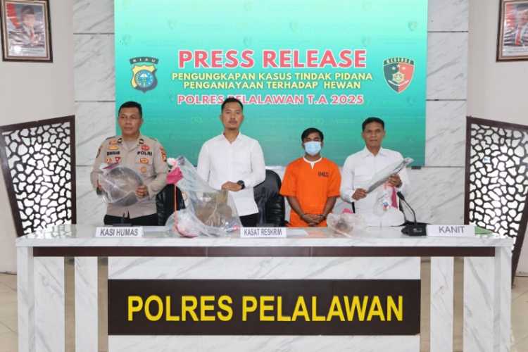 Aniaya Anjing dan Jual Dagingnya, Pria di Pelalawan Ditangkap Polisi