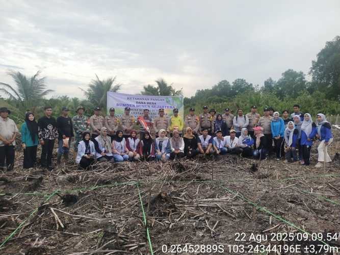 Desa Sungai Dusun Giatkan Ketahanan Pangan dengan Penanaman Jagung