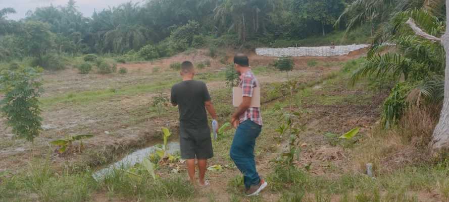 Adek  Jual Tanah Milik Pribadi, Abang Ribut dan Berujung Laporan Ke Polres Batu Bara