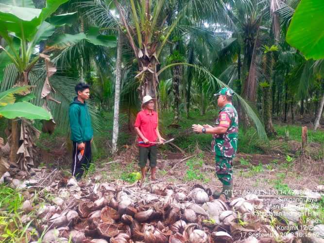 Babinsa Cegah  Perilaku Buruk Warga Membakar Lahan