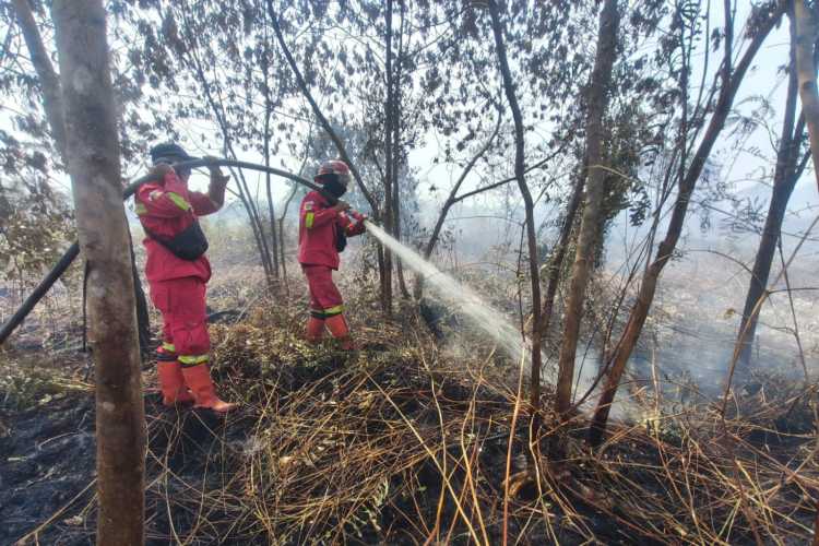 Demi Kejar Api Sejak Pagi, Tim Manggala Agni Menginap Dekat Lokasi Karhutla Pematang Pudu