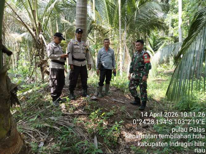 Cegah Titik Panas, Babinsa Koramil 01/Tbh Patroli di Desa Pulau Palas