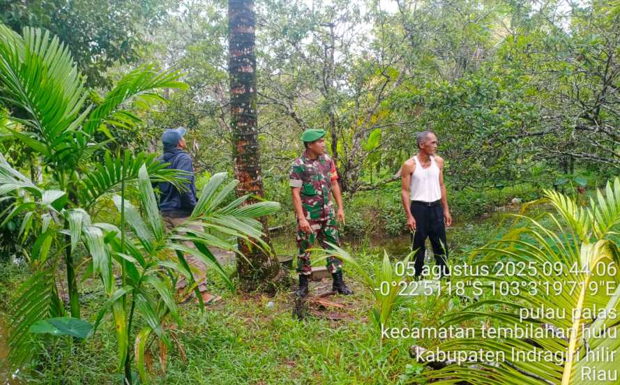 Babinsa Sertu Ali Sabri, Garda Terdepan Pencegahan Karhutla di Desa Pulau Palas