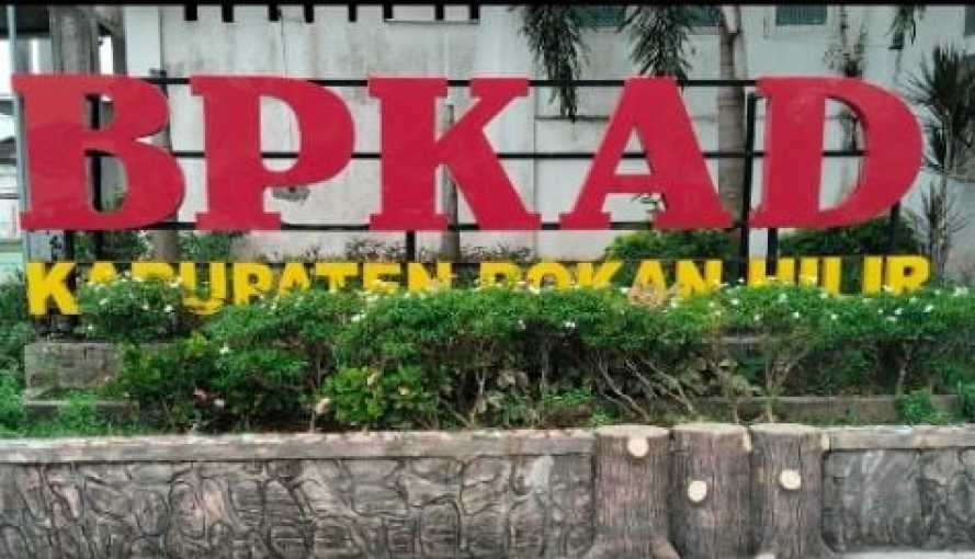 Gaji Honorer dan PPPK di Rohil Dipastikan Cair Awal November, BPKAD: Sudah Dianggarkan di APBD Perubahan