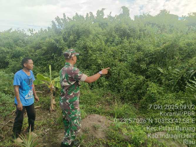 Babinsa Koramil 11/PBR Laksanakan Patroli Tapal Batas dan Jaga Kamtibmas di Wilayah Teritorial