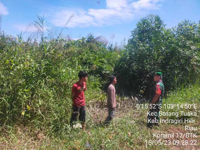 Sertu Syamsir Patroli Konsentrasi Karhutlah