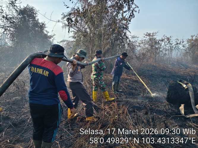 Gerak Cepat Babinsa Sertu Siswanto Padamkan Bara Tersisa Karhutla di Pulau Burung, Pendinginan Terus Dikebut