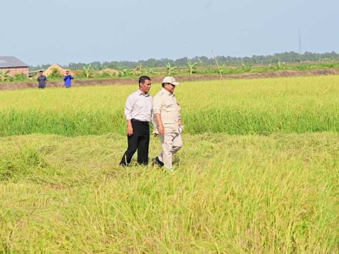 Tegaskan Kesiapan Indonesia Hadapi El Nino, Mentan: Stok Beras Tertinggi Sepanjang Sejarah