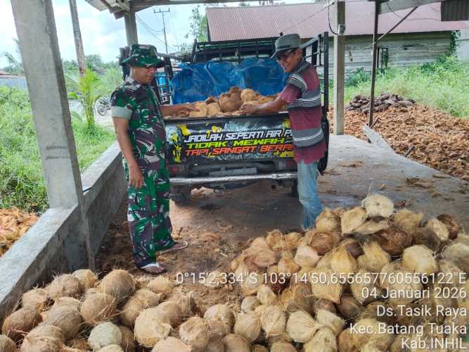 Babinsa Koramil 12/Batang Tuaka Pantau Pancang Kelapa Warga untuk Jaga Kestabilan Harga