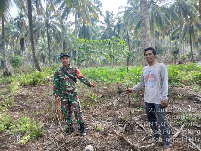 Babinsa Koramil 11/Pulau Burung  Lakukan Patroli Cegah Karhutla di Desa Pulau Burung