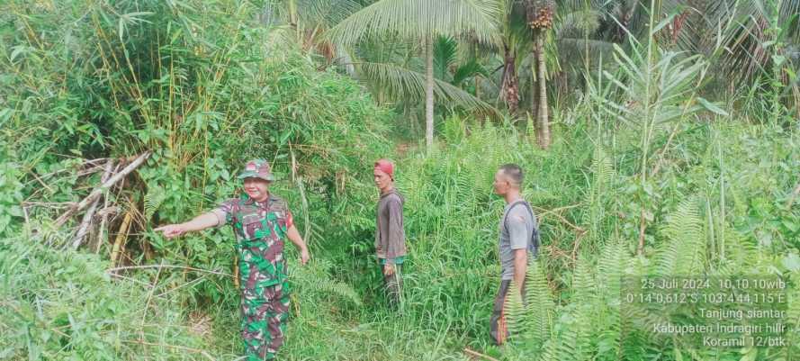 Serda Sukiran Babinsa Koramil 12/Batang Tuaka Laksanakan Keteraturan Patroli  Karhutlah