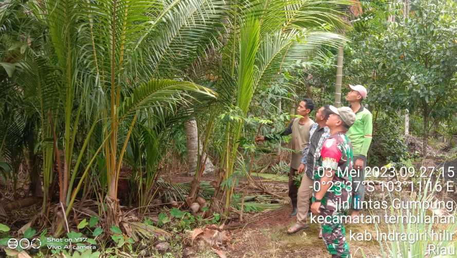 Sertu  M.Yasin Tingkatkan Intensitas Patroli Karlahut Hadapi Kemarau