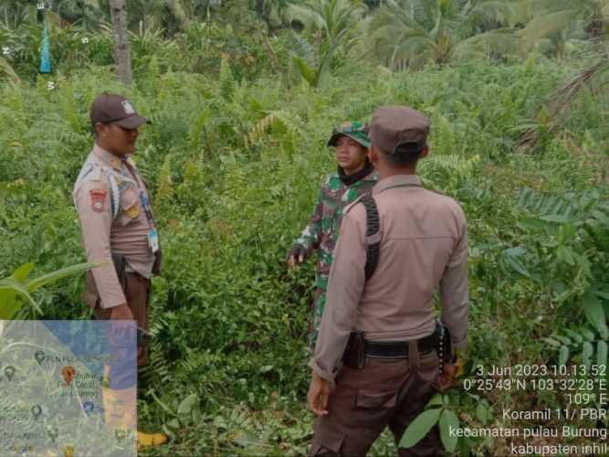 Sertu  Arlansyah Terus Mengawasi Lahan Berpotensi Karhutlah