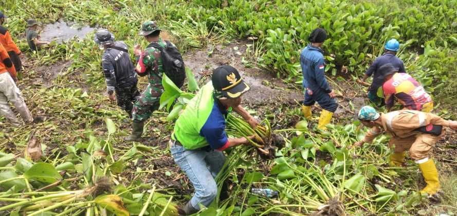 Kompera Bersama PJ Bupati Cilacap Kerja Bhakti Bersihkan Gulma Rawa Bendungan