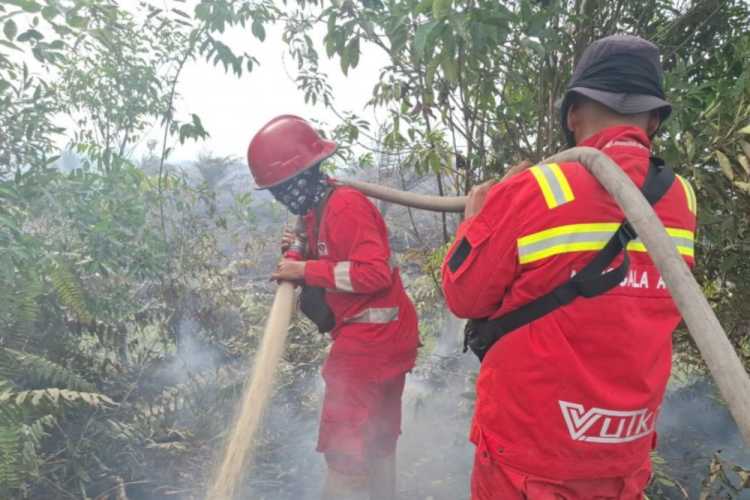 Riau Berhasil Kendalikan Karhutla, Hotspot Ngacir Kini Tinggal 4 Titik Terdeteksi!