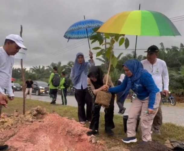 5.050 Pohon Ditanam di 15 Km Jalan Siak-Dayun
