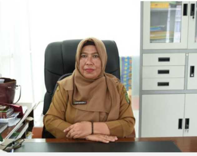 Kadinkes Inhil : Kenali Gejala Penyakit Akibat Cuaca Panas