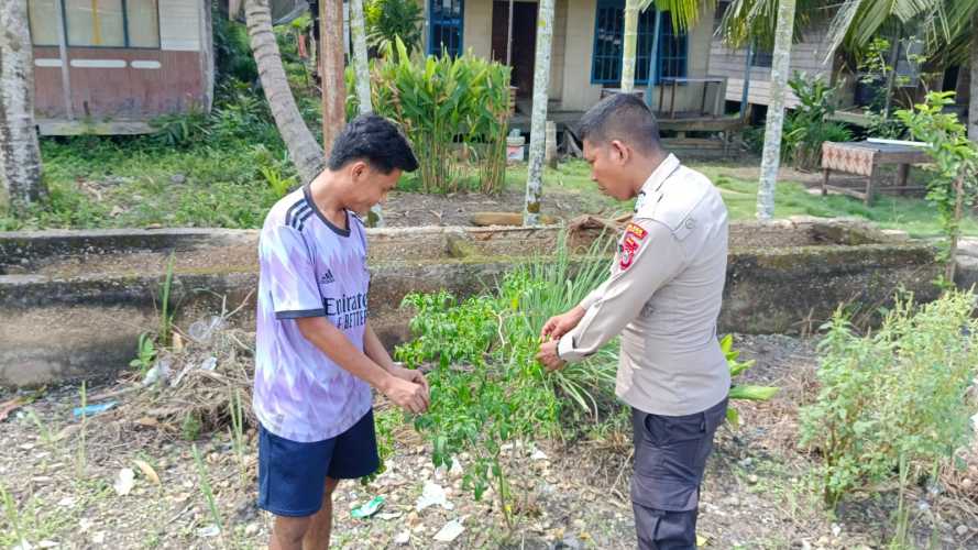 Babinkamtibmas Polsek Enok memantau perkembangan tanaman pekarangan milik warga.
