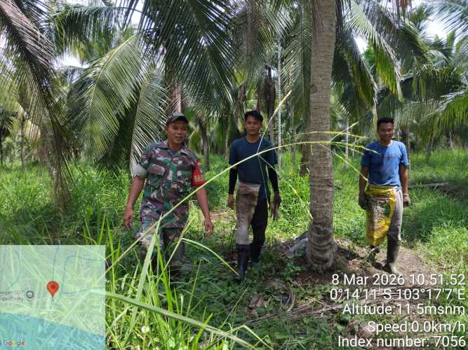 Babinsa Kelurahan Sungai Piring Laksanakan Patroli Tapal Batas Terpadu
