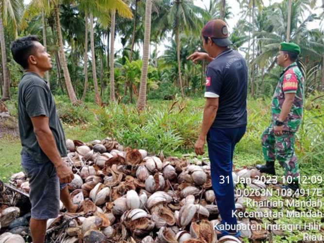 Babinsa Jadikan  Patroli Sarana Pengawasan Karhutlah