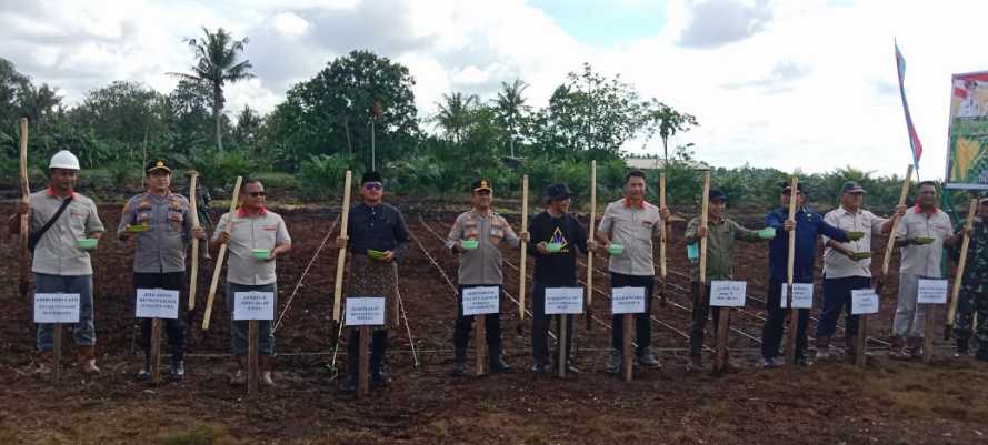 Kapolsek Pelangiran IPTU Anton Hilman, SH., MH. ikut Mensukseskan Penanaman Jagung Perdana di Kebun Sengkawang