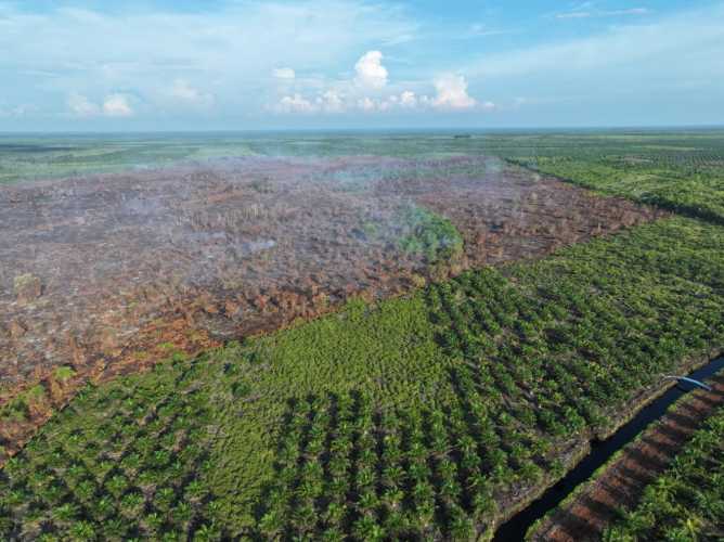 Asap Karhutla Pematang Pudu Mulai Hilang, Manggala Agni Lanjutkan Mopping Up