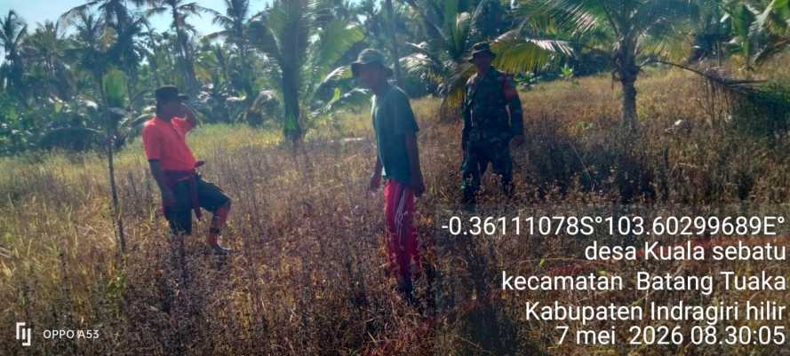 Babinsa Kuala Sebatu Intensifkan Patroli Tapal Batas, Cegah Konflik Agraria dan Karhutla di Kuala Sebatu