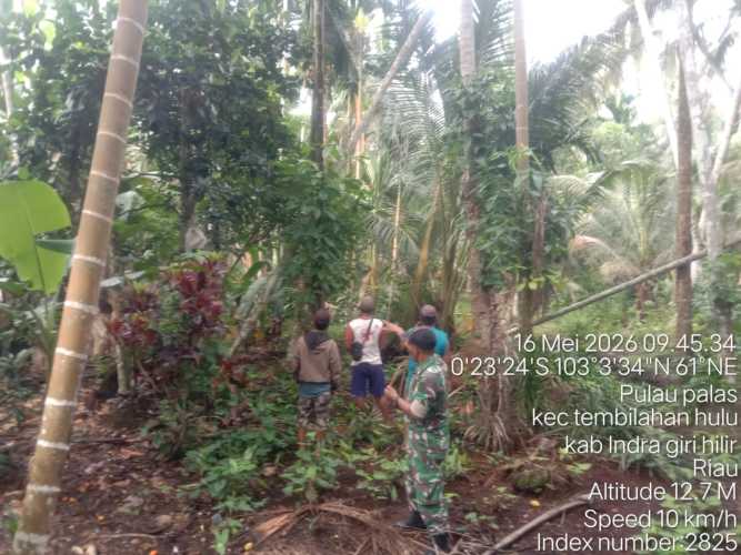 Danposramil 01/Tembilahan Gerakkan Patroli dan Sosialisasi Karhutla di Desa Pulau Palas