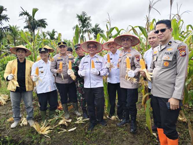 Sukseskan Program Ketahanan Pangan Nasional, Polres Inhil Panen Raya Jagung Serentak Tahap I di Tempuling