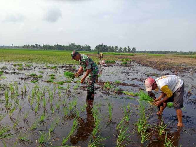 Serda Sukiran Laksanakan Program Ketahanan Pangan