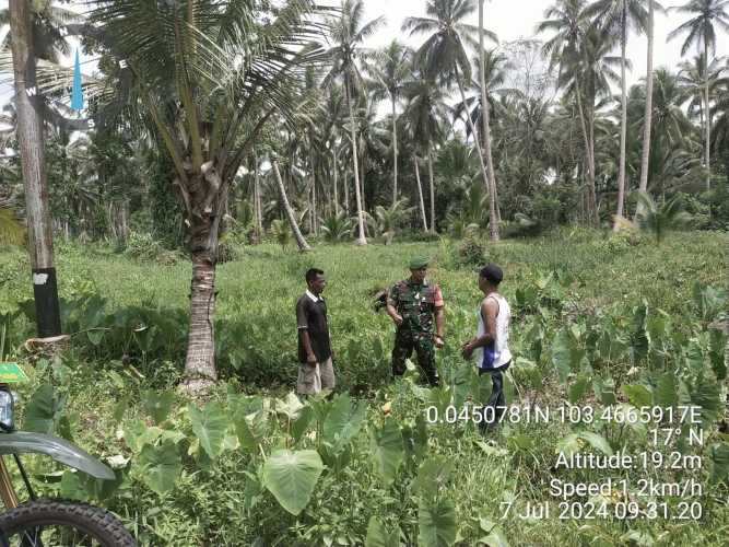 Kopda Hendri Lakukan Pengamatan Areal Rawan Karhutlah