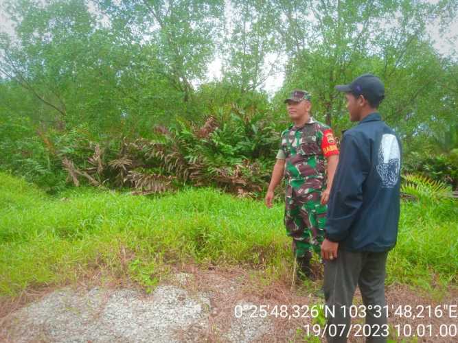 Babinsa Lakukan Inpeksi Karhutlah di Wilayahnya