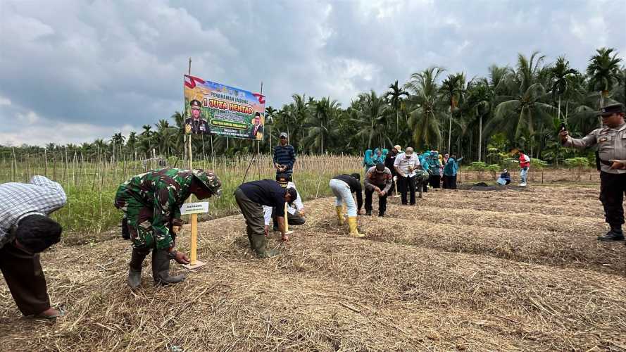 Kapolsek Tembilahan Hulu Dukung Swasembada Pangan Melalui Penanaman Jagung