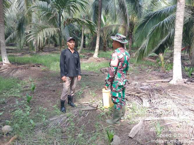 Babinsa menjaga tapal batas desa dari potensi gangguan kamtibmas: