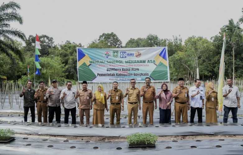 Dukung Swasembada Pangan, Bupati Bengkalis Tanam Cabai Nusantara