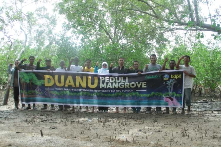Blue Carbon Inhil Alarm Keadilan bagi Daerah