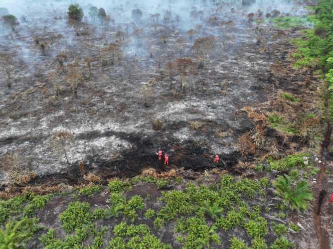 Ratusan Tim Gabungan dan 3 Helikopter Taklukkan 80 Hektare Karhutla di Bengkalis Riau