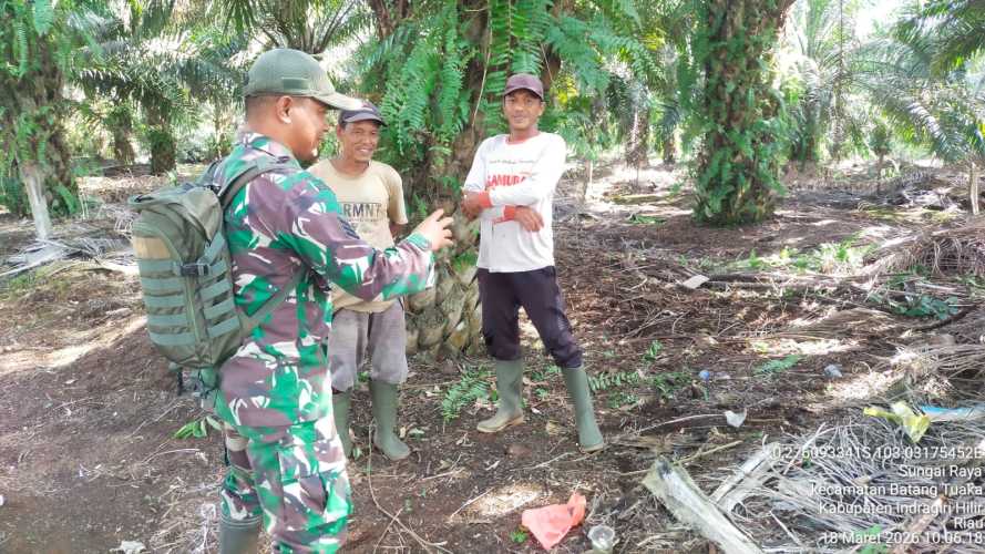 Babinsa Sungai Raya Gencar Ukur Kelembaban Gambut untuk Deteksi Dini Karlahut